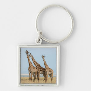 Drie giraffen die poseren sleutelhanger