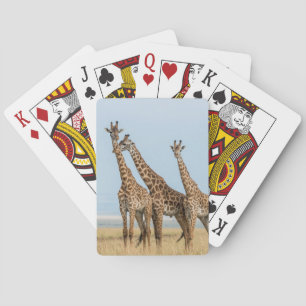 Drie giraffen in pose speelkaarten
