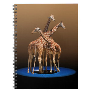 DRIE GIRAFFES NOTITIEBOEK