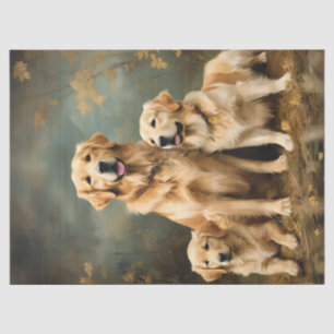 Drie Golden Retriever-honden portretteren weefselp Tissuepapier