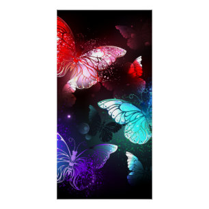 Drie golvende Butterflies op nachtachtergrond Perfect Poster