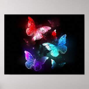 Drie golvende Butterflies op nachtachtergrond Poster