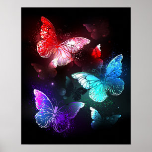 Drie golvende Butterflies op nachtachtergrond Poster