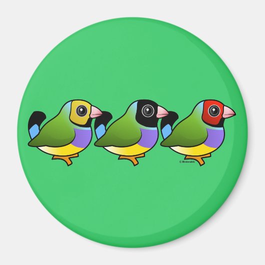 Drie Gouldian Finches Magneet (Voorkant)