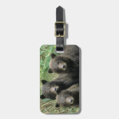 Drie grizzly Beer welpen of coys Bagagelabel (Voorkant verticaal)