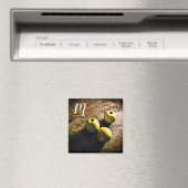 Drie groene appels Monogram Magnet Magneet (Insitu (Vaatwasser))