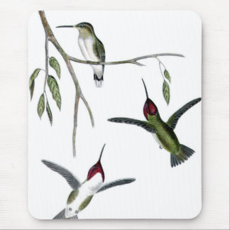 Drie Groene Hummingvogels Muismat