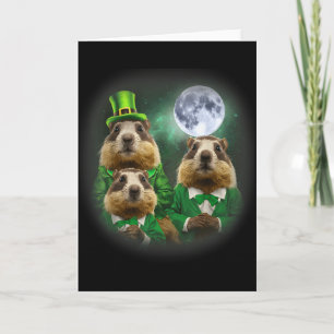 Drie Groundhog Maand 3 Groundhog Day Hoofd St Patr Kaart