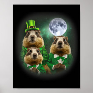 Drie Groundhog Maand 3 Groundhog Day Hoofd St Patr Poster