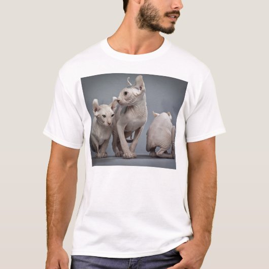 Drie haarloze katten t-shirt (Voorkant)