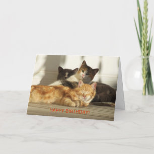 Drie het ontspannen Katten, Verjaardag Kaart