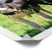 Drie Holstein Koeien Poster (Hoek)