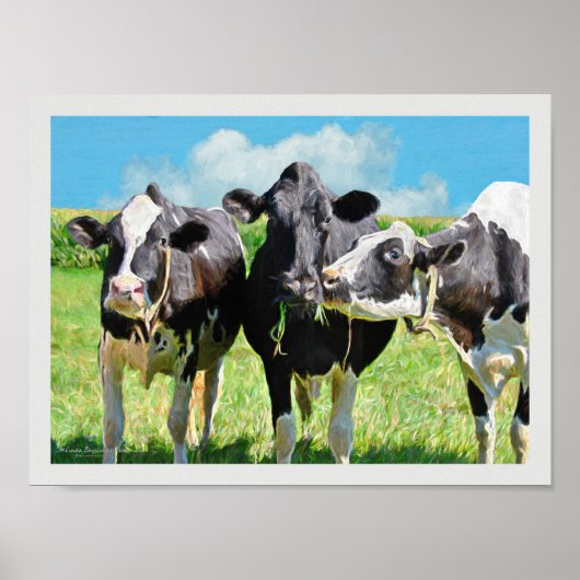 Drie Holstein Koeien Poster (Voorkant)