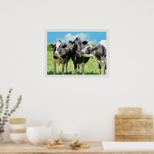 Drie Holstein Koeien Poster (Keuken)