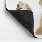 Drie honden die naar camera kijken muismat (Hoek)