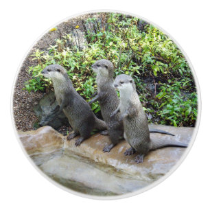 Drie Hongaarse otters, Keramische Knop