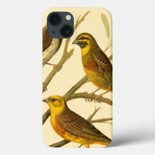 Drie huisdieren op een tak iPhone 13 hoesje