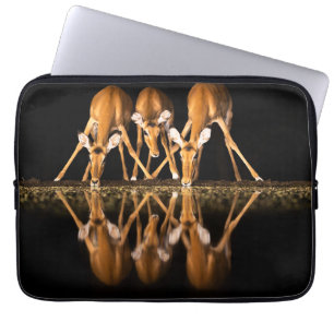 Drie impala's drink 's nachts samen laptop sleeve