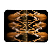 Drie impala's drink 's nachts samen magneet (Horizontaal)
