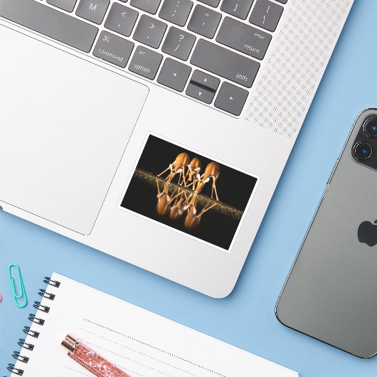 Drie impala's drink 's nachts samen sticker (Laptop met iPhone)