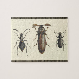 Drie Insecten Puzzle Legpuzzel