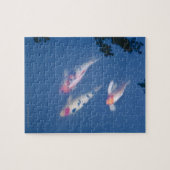 Drie Japanse koivissen in vijver Legpuzzel (Horizontaal)