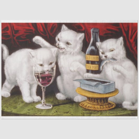 Drie Jolly Kittens op het Feest Tissuepapier (Voorkant)