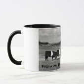 Drie jonge Belted Galloway. "Volg me" Mok (Links)