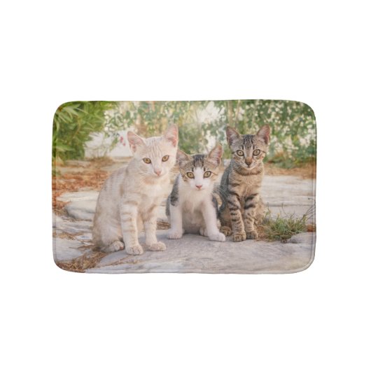 Drie jonge kat kittens zitten bevriend samen badmat (Voorkant)