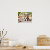 Drie jonge kat kittens zitten bevriend samen poster (Keuken)