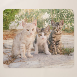 Drie jonge kat kittens zitten bevriend samen sherpa deken