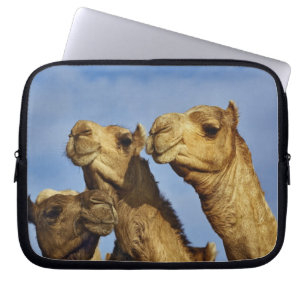 Drie kamelen, kameelmarkt, Caïro, Egypte Laptop Sleeve