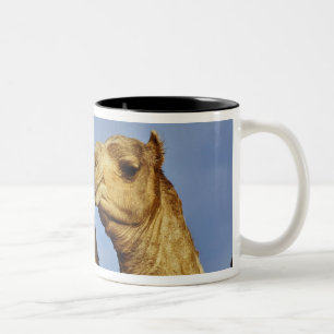 Drie kamelen, kameelmarkt, Caïro, Egypte Tweekleurige Koffiemok