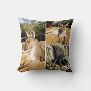 Drie Kangaroo Afbeeldingen collage, kussen
