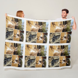 Drie Kangaroo Afbeeldingen collage, Lge Fleece Bla