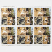 Drie Kangaroo Afbeeldingen collage, Lge Fleece Bla Deken (Voorkant (Horizontaal))