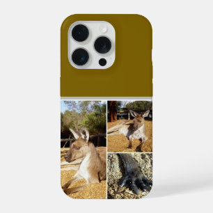 Drie kangoeroe beelden collage, kussen iPhone 15 pro hoesje