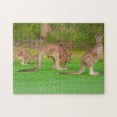drie kangoeroes legpuzzel (Horizontaal)