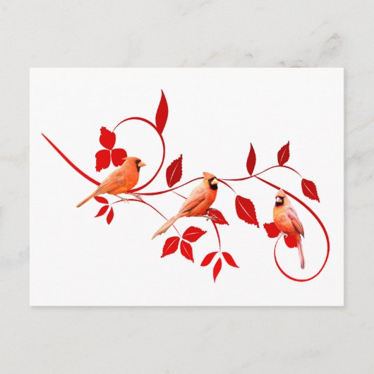 Drie Kardinalen Briefkaart (Voorkant)