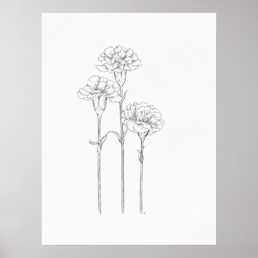 Drie karnenschetskunst afdrukken poster (Voorkant)