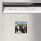 Drie Kat Vrienden in de Magnet van het Venster Magneet (Insitu (Vaatwasser))