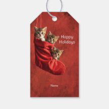 Drie katjes in een Kerstsok Gift Tag