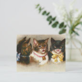 "Drie  katten" Briefkaart (Staand voorkant)