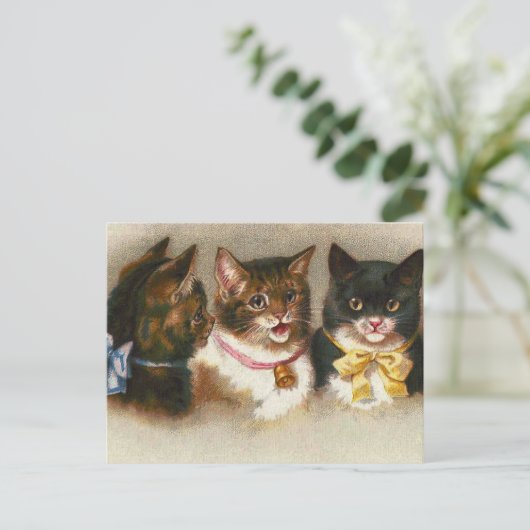 "Drie  katten" Briefkaart (Staand voorkant)