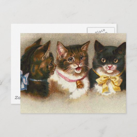 "Drie katten" Briefkaart (Voorkant / Achterkant)