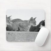 Drie katten muismat (Met muis)