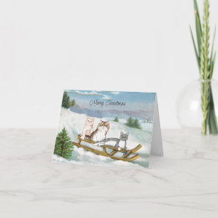 Drie Katten op een Sled Winter Scene met Kerstmis Kaart
