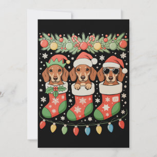Drie Kerstman Elf Dachshunds Kerst Soks Grappig Feestdagenkaart