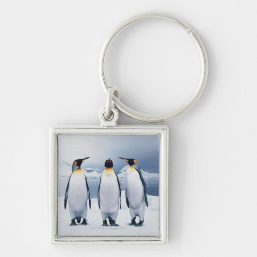 Drie King Penguins Sleutelhanger (Voorkant)