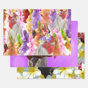 Drie kipfilmpjes, cadeauverpakking, Design voor on Inpakpapier Vel